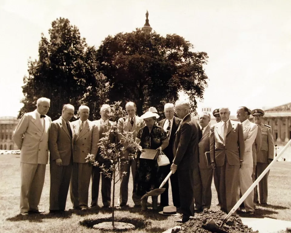 Sullivan Brothers tree planting ceremony. Photo credit: National Museum of the U.S. Navy