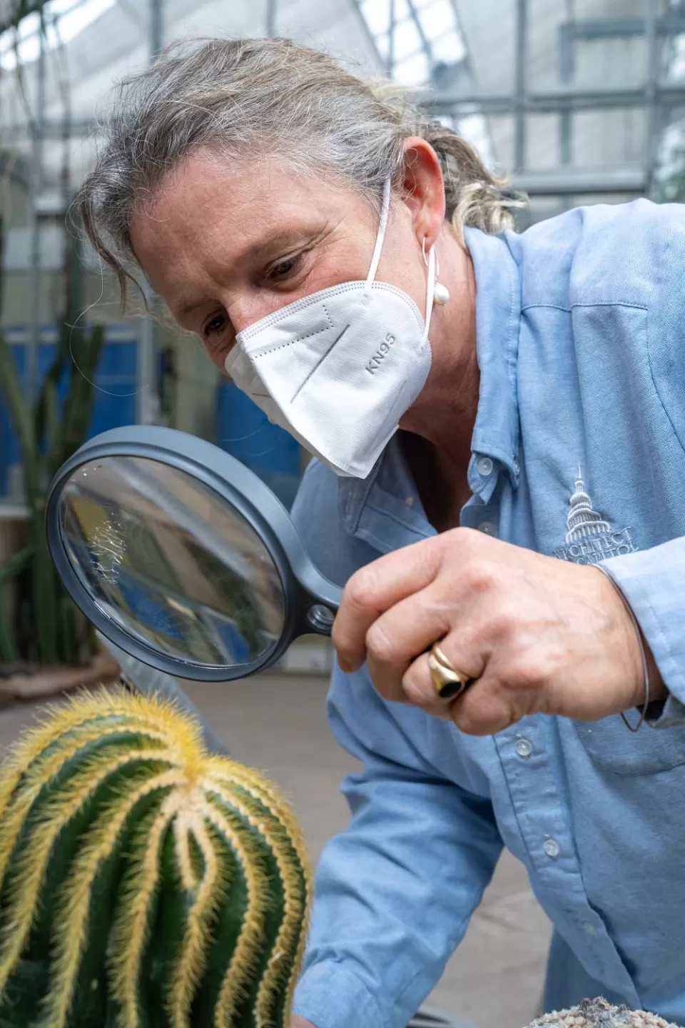 Coykendall studies a cactus in the World Deserts house in preparation for a virtual field trip on plant adaptations.