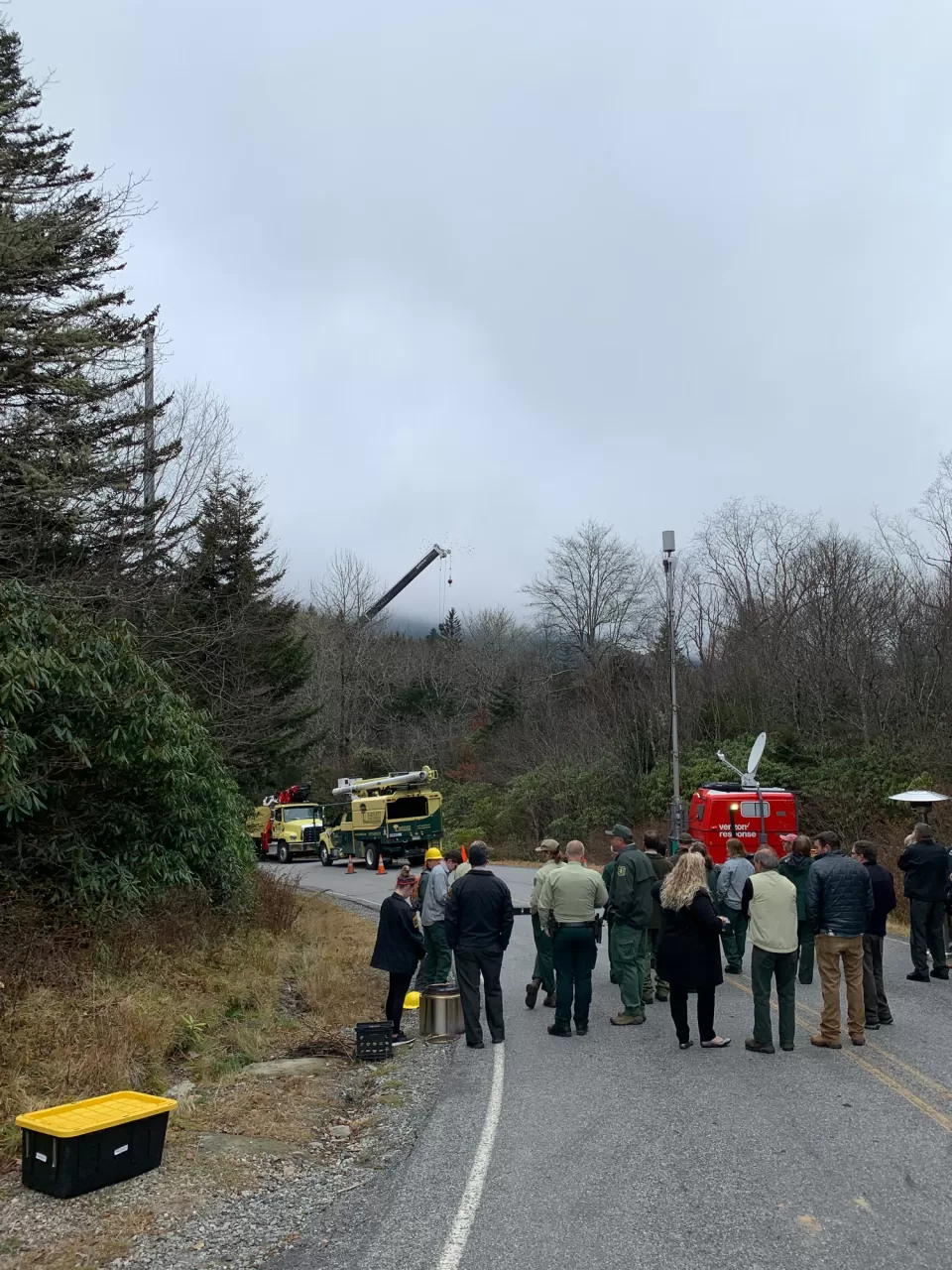 Harvesting the 2022 Capitol Christmas Tree.