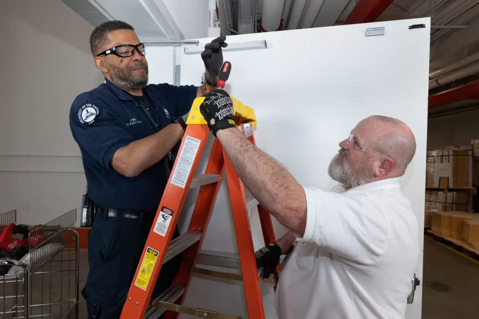 Two people standing near a ladder.