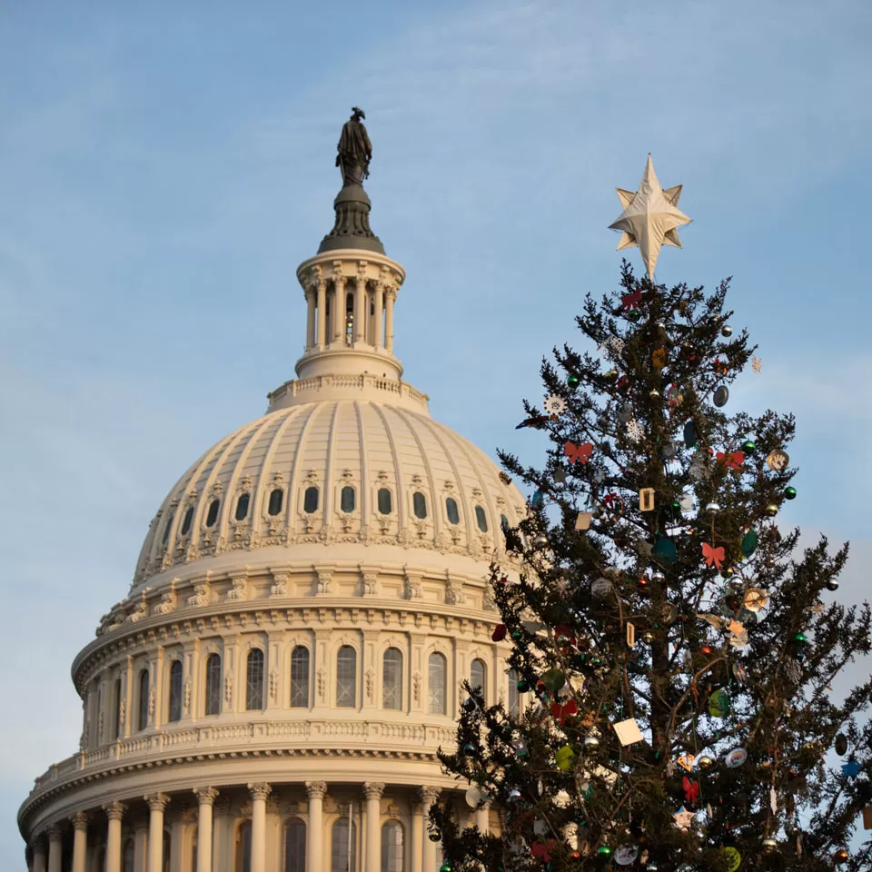 Capitol dome, blue sky, Christmas tree.