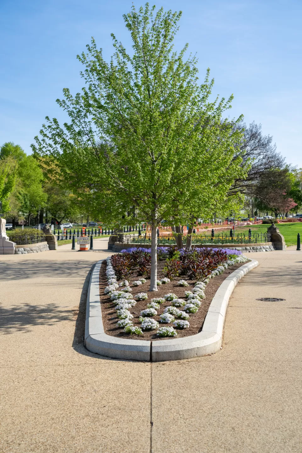 Tree and flower bed.