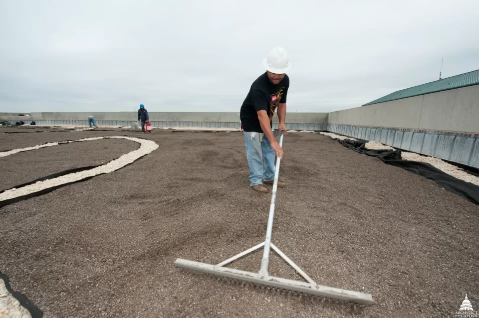 A worker levels the soil on the Dirksen Building roof. At this point of the project, the gravel ballast for the walkways has been installed.