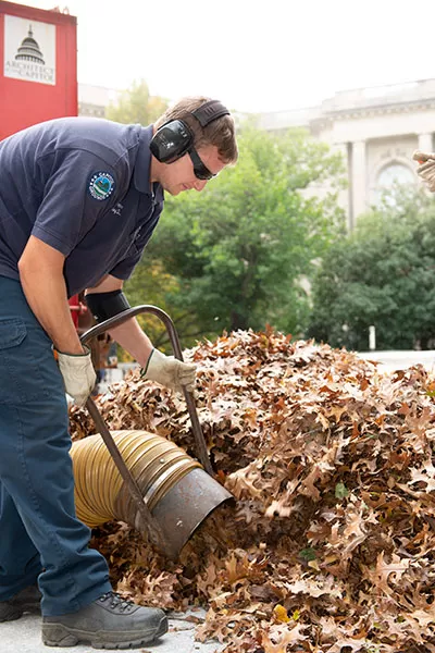 The AOC Capitol Grounds and Arboretum crew clears autumn leaves.