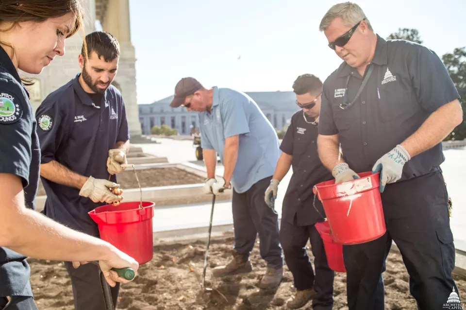 The dedicated efforts of the Capitol Grounds team is evident to all who visit the Capitol campus.