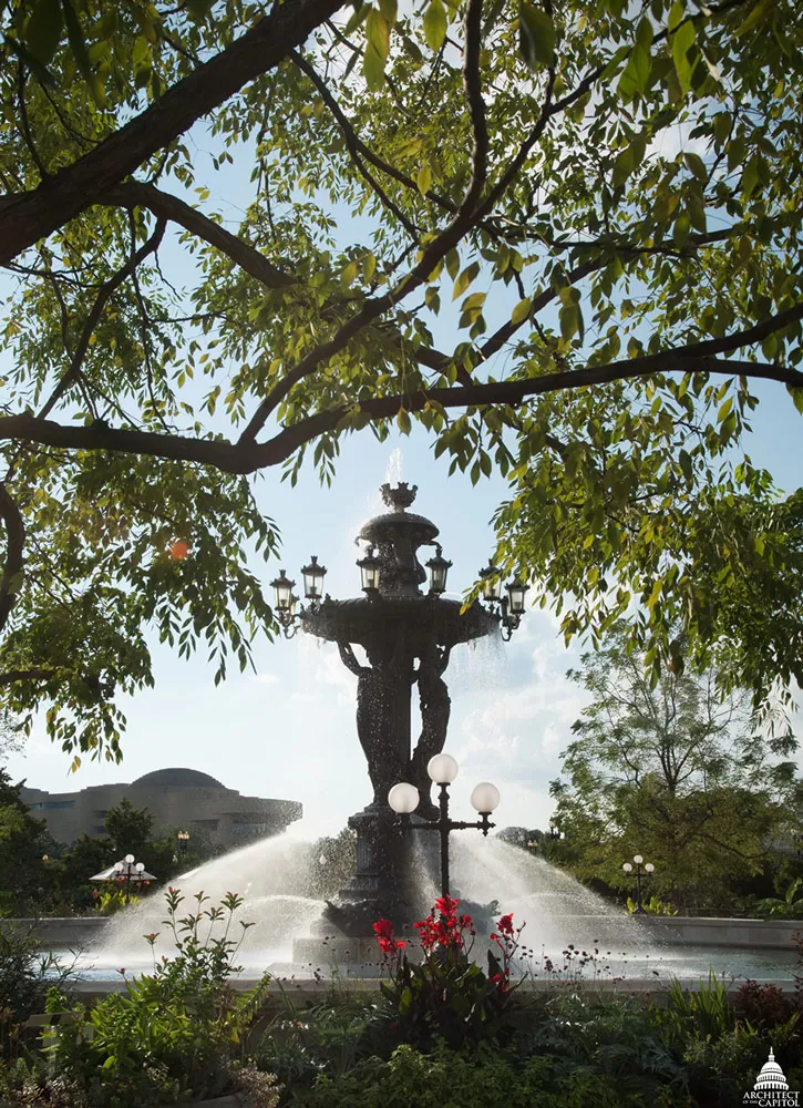 Most large trees, including the Kentucky coffee trees around the fountain, were saved in place.