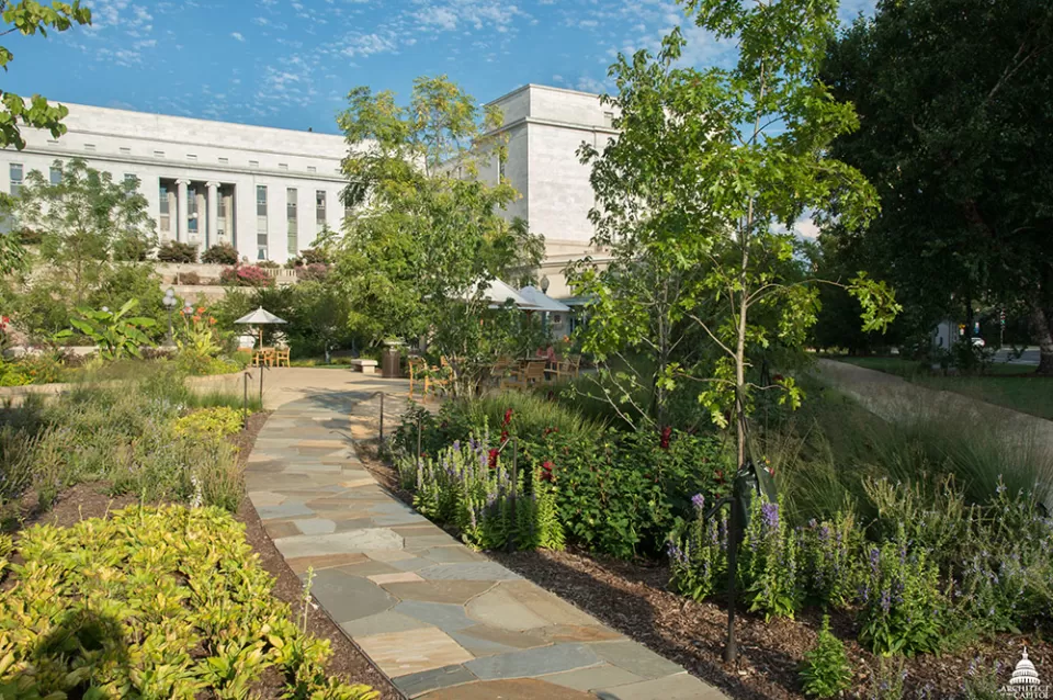 The salvaged flagstone path allows visitors a close view of rain gardens.