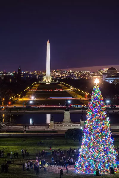 The U.S. Capitol Christmas Tree with lights on. National Mall in the distance.