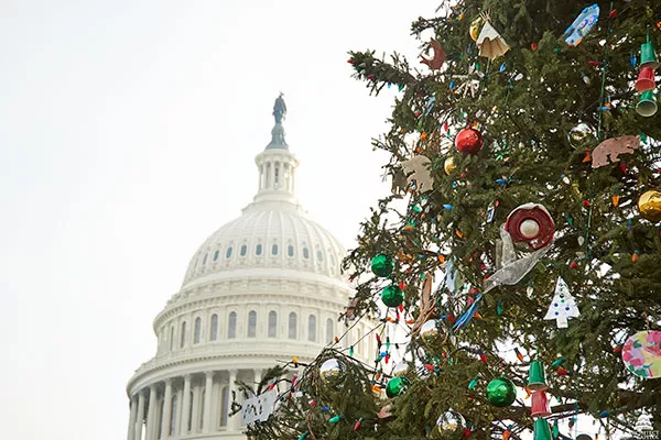 The U.S. Capitol Christmas Tree with ornaments in front of the Dome.