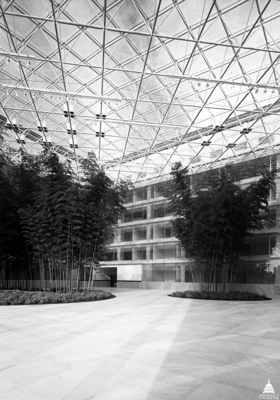 Interior view of the Thurgood Marshall Building's atrium and bamboo planters.