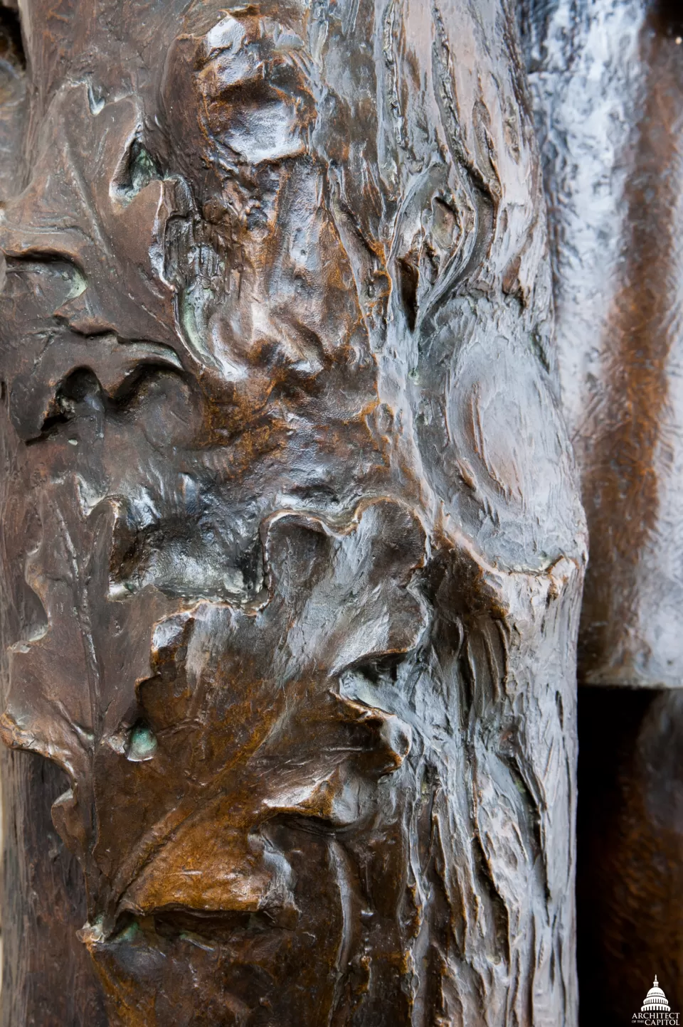 Up-close photo of tree trunk detail on J. Sterling Morton's statue in the U.S. Capitol.
