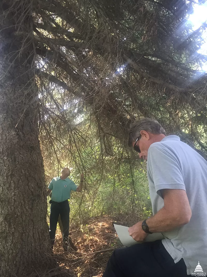 Checking trunk size.