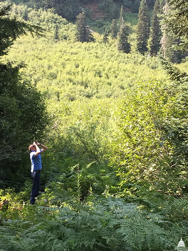 AOC Director of Capitol Grounds and Arboretum searches the Willamette National Forest in Oregon for the perfect U.S. Christmas Tree.