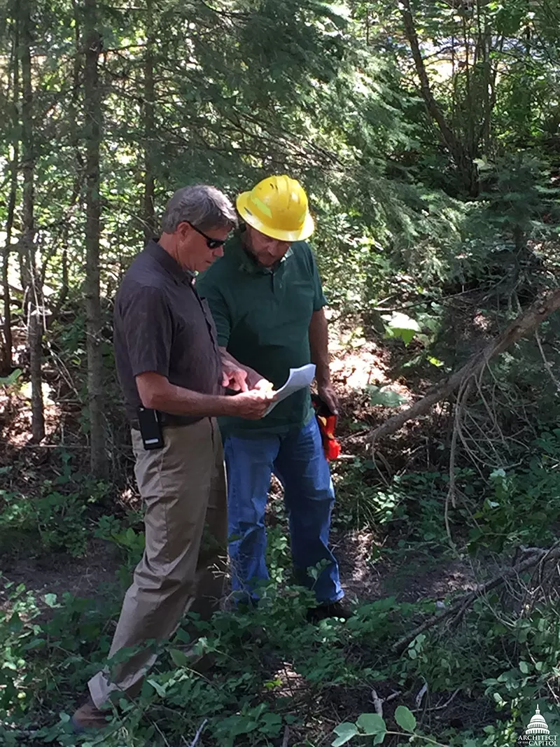 Consulting over tree width.