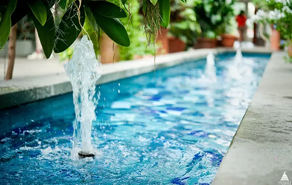 One of the pools in the U.S. Botanic Garden's Conservatory.