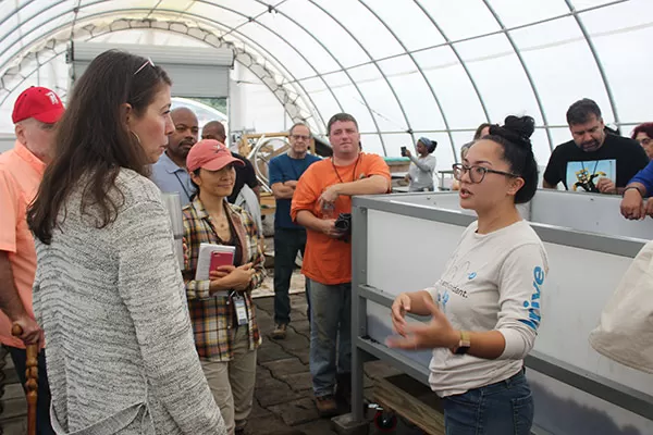 Learning about composting at Eco City Farm.