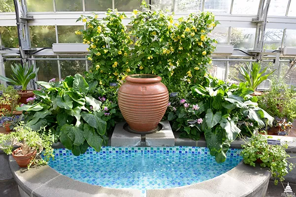 Vessel fountain in the U.S. Botanic Garden's Mediterranean Room. 