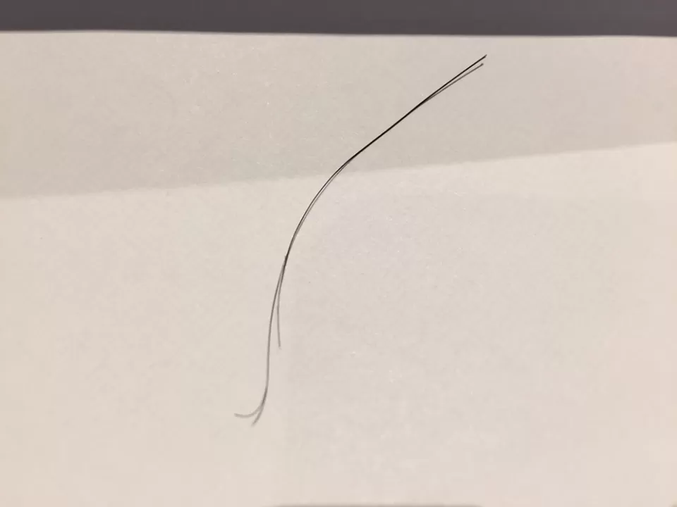 Close-up of hair detail.