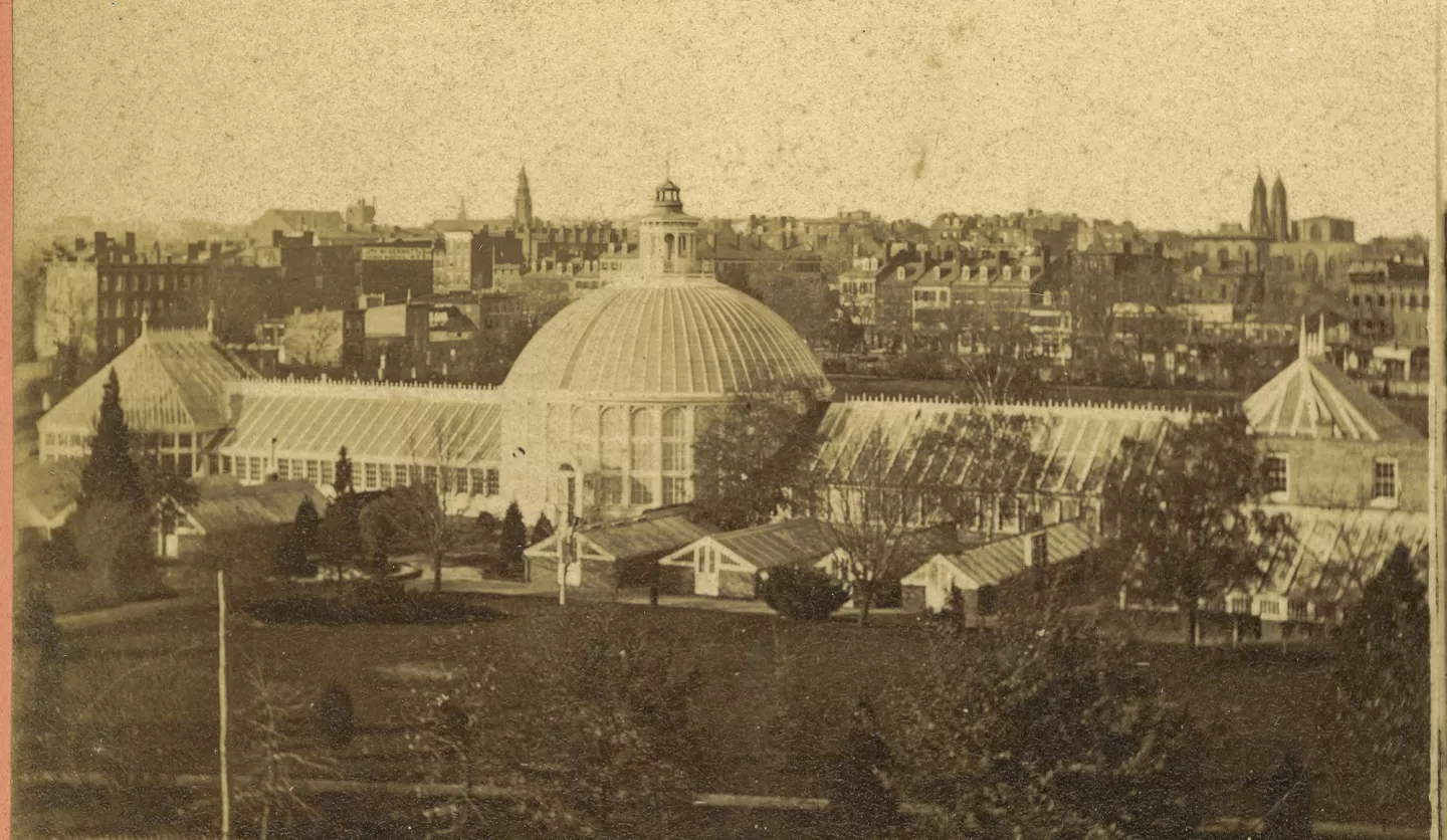 This 1873 photograph shows how the USBG's first Conservatory had grown from a single Victorian greenhouse to this large, five-part Conservatory with 14 support greenhouses.