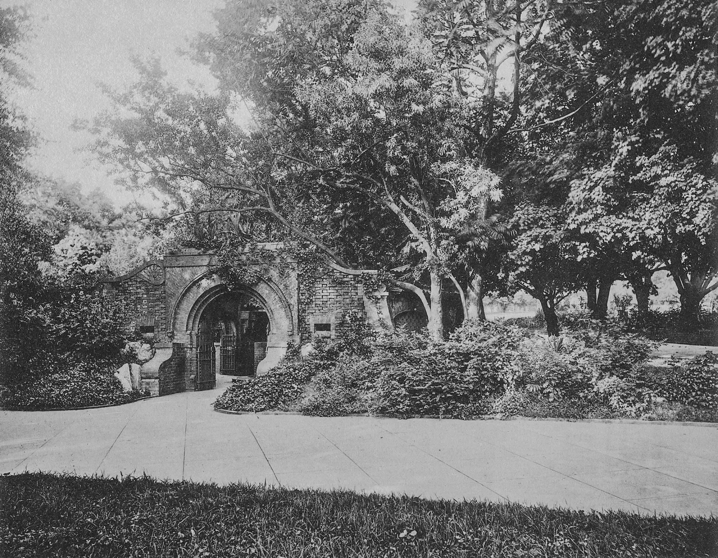 The Summerhouse, obscured by the plants, vines and trees of Olmsted's original design, blends into the landscape.