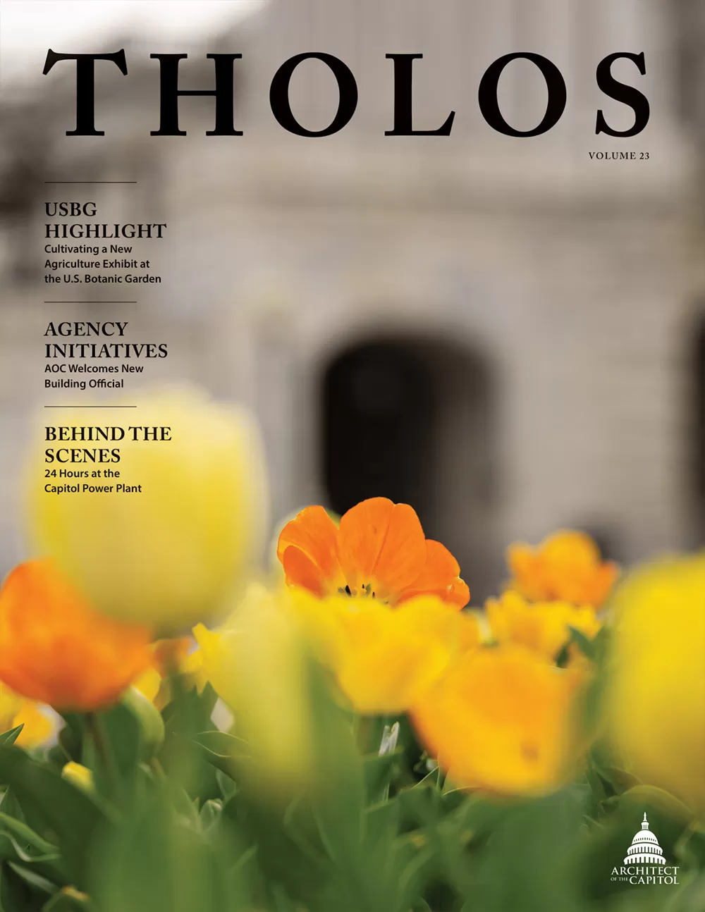 Tholos Volume 23, Summer 2022 - Cover