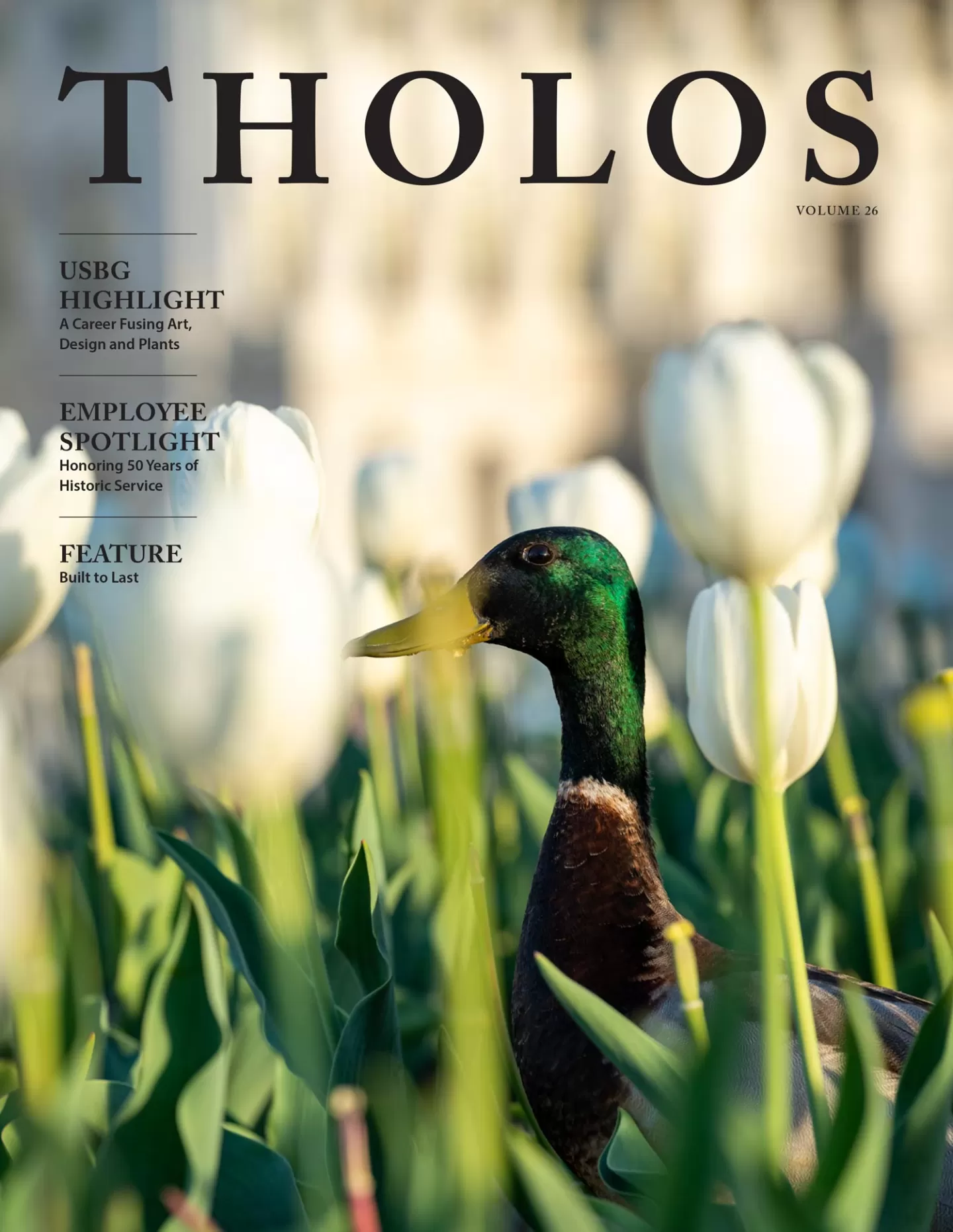 A duck standing in flowers.