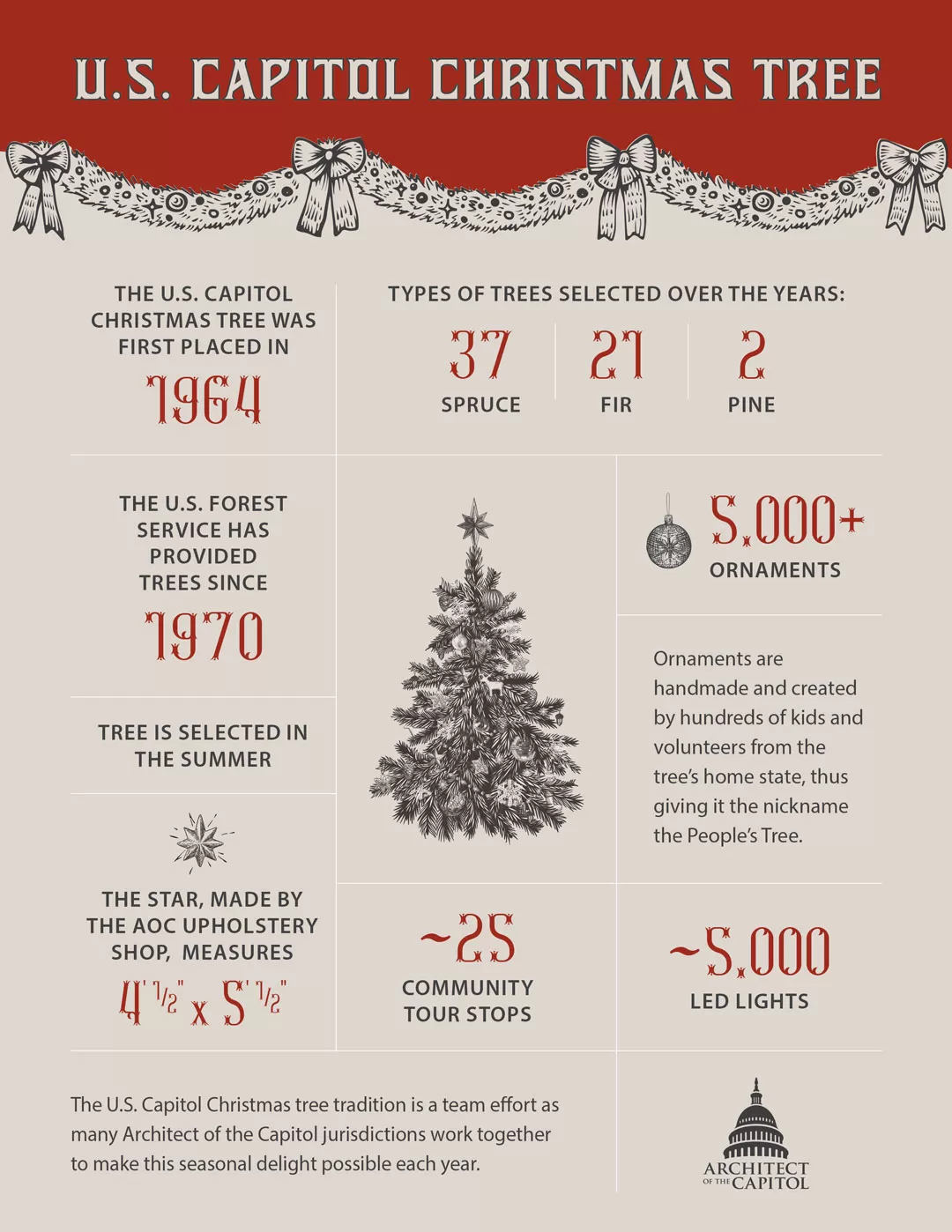 Capitol Christmas Tree 2025 Price Ronni Cindelyn