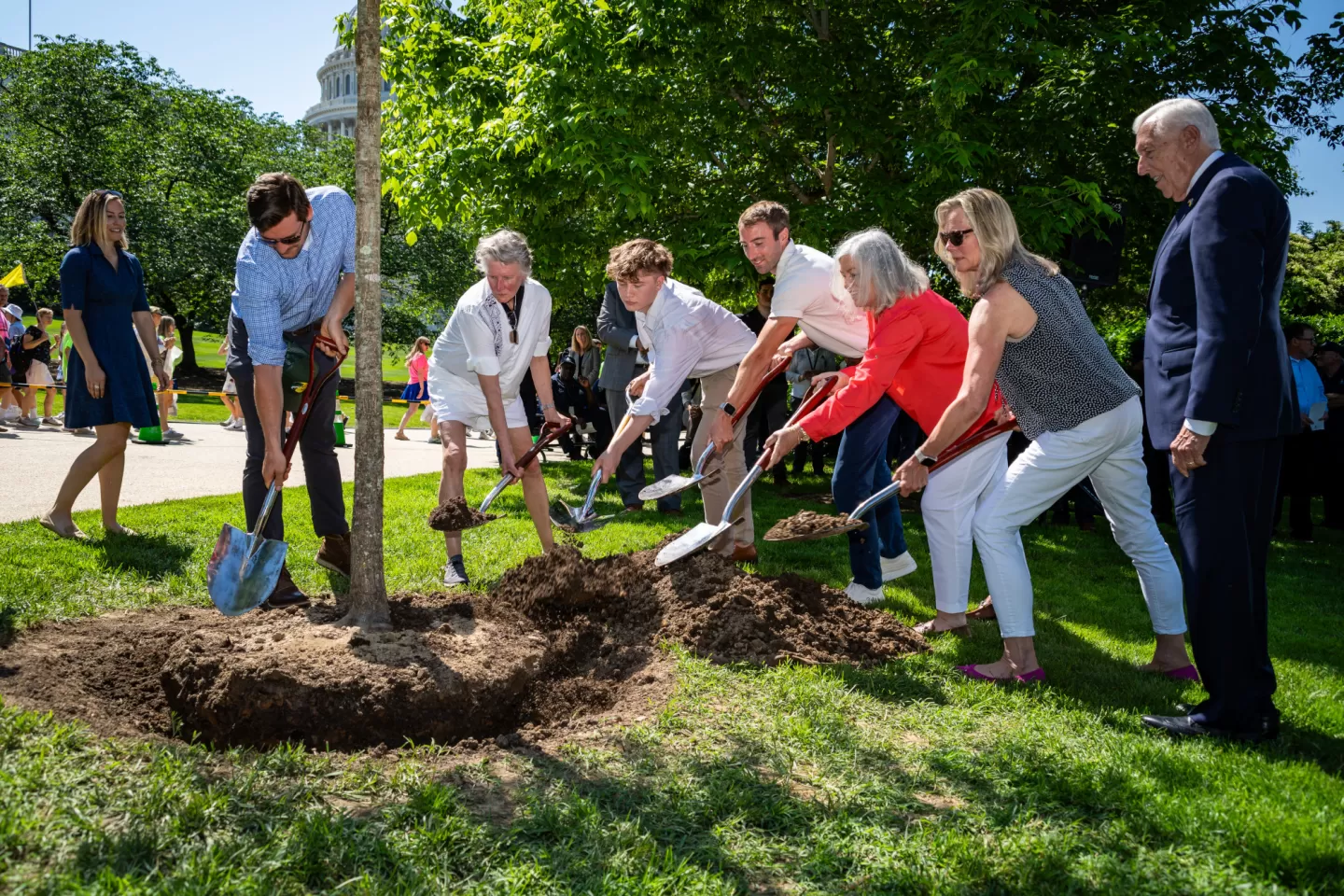 People planting a tree.