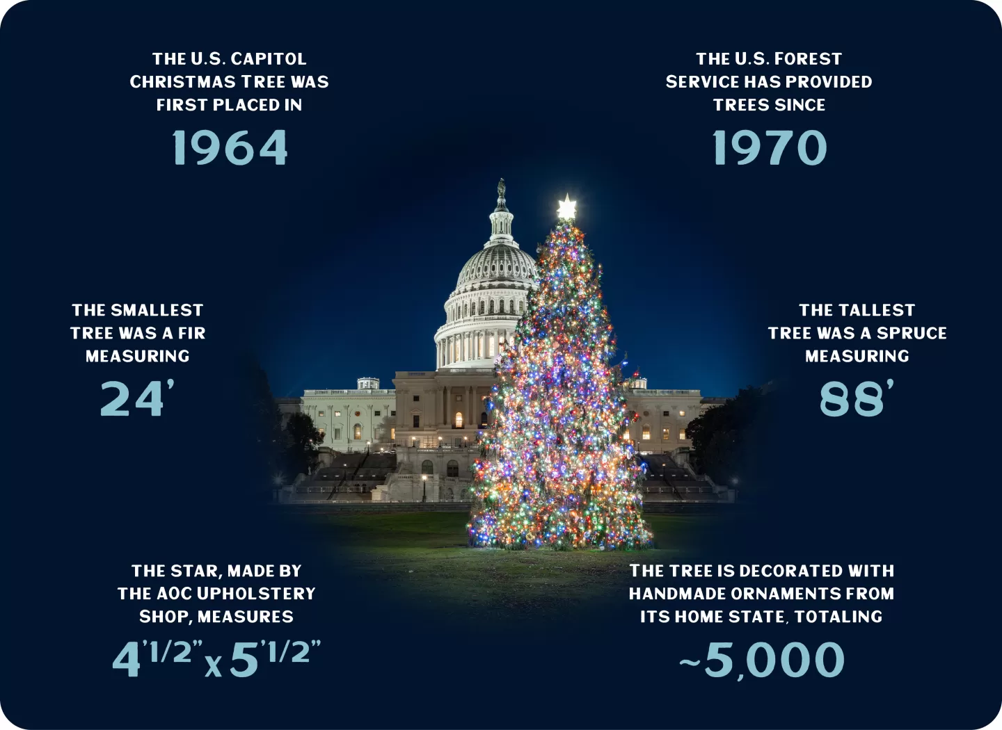 INFOGRAPHIC: The U.S. Capitol Christmas tree was first placed in 1964; the U.S. Forest service has provided trees since 1970; the smallest tree was a fir measuring 24'; the tallest tree was a spruce measuring 88'; the star, made by the AOC Upholstery Shop, measures 4’ 1/2” x 5’ 1/2”; the tree is decorated with handmade ornaments from its home state, totaling ~5,000.