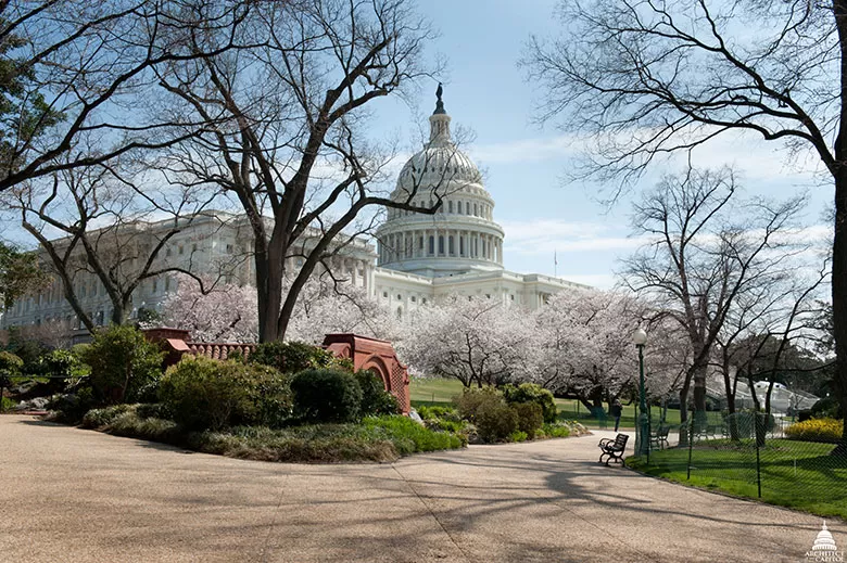 View of the U.S. Capitol and Summerhouse from the West Front.