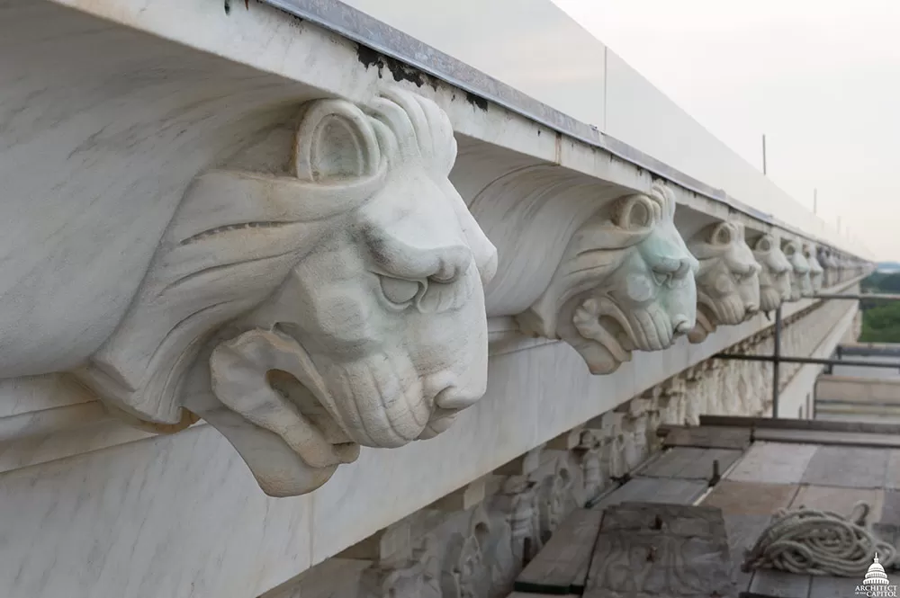 Close-up photo of lion detail at the Supreme Court Building.