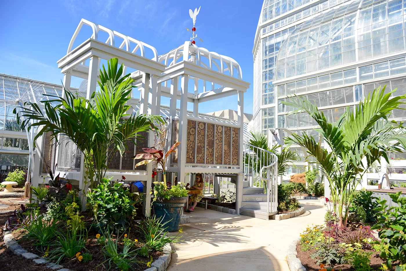 Updated Children's Garden opens at U.S. Botanic Garden.