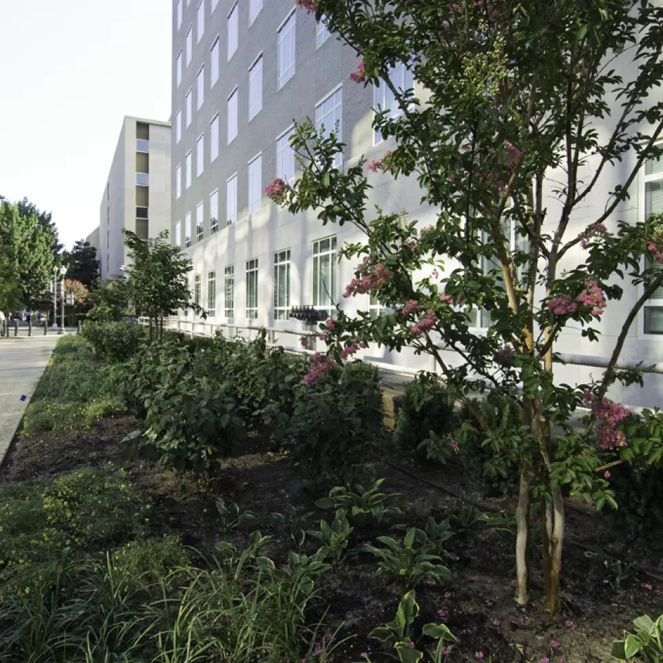 Exterior view of a building.