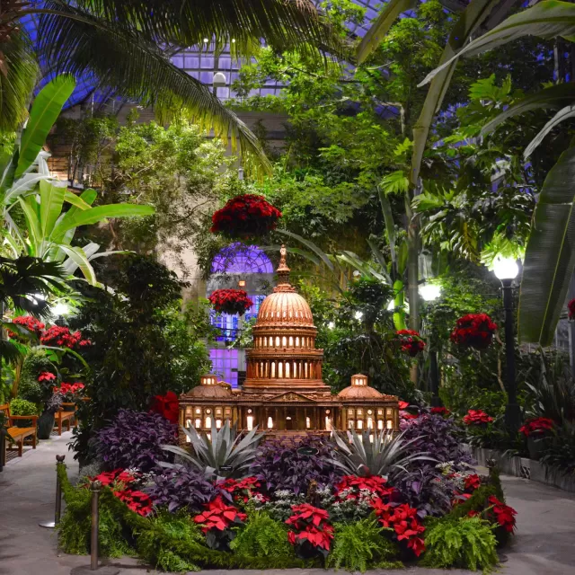 U.S. Capitol, made of plant materials, surrounded by poinsettias in the U.S. Botanic Garden Conservatory.