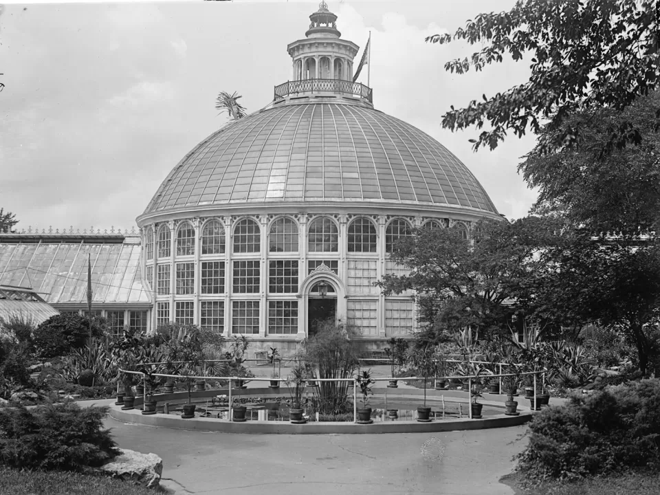 Palm House portion of the USBG Conservatory, circa 1917.