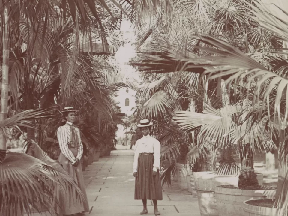 Visitors in the Palm Promenade, circa 1890.