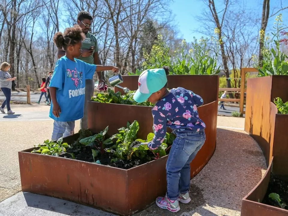 Staggered, low planters allow for smaller visitors to engage in vegetable growing at the State Botanical Garden of Georgia.