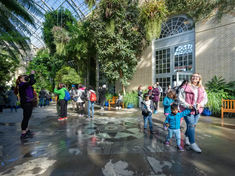 Some of the first visitors back in the USBG Conservatory after it reopened.