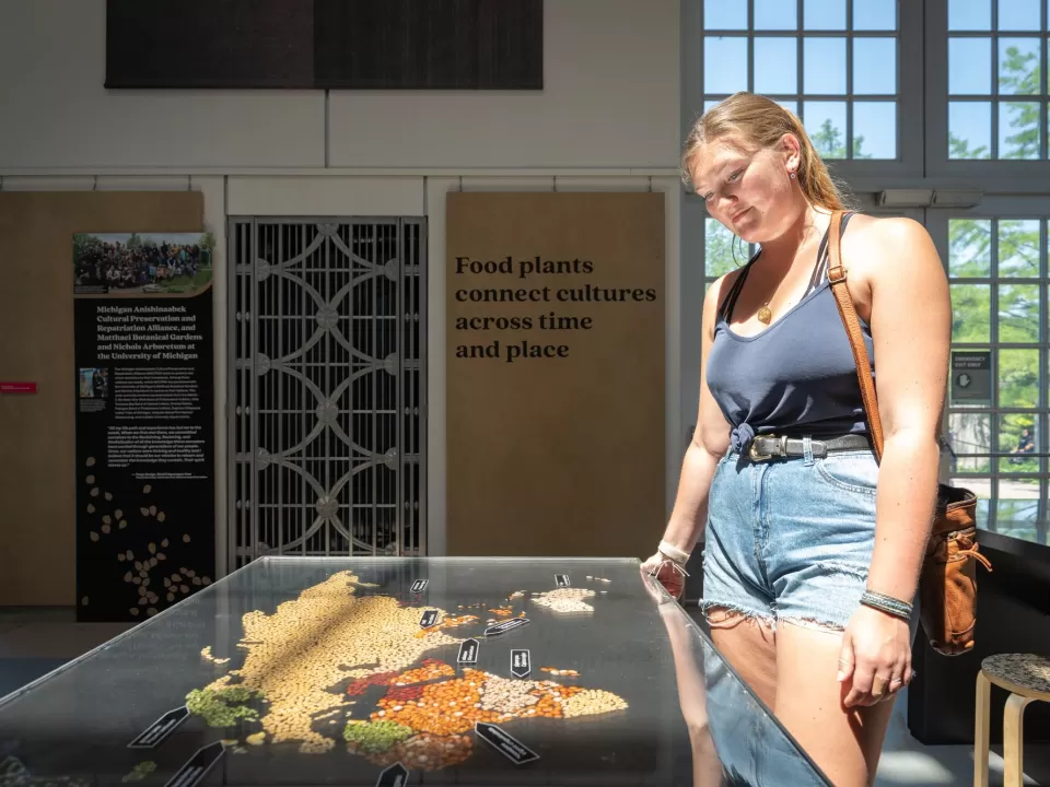 Visitors learn about legumes of the world through a tabletop display.