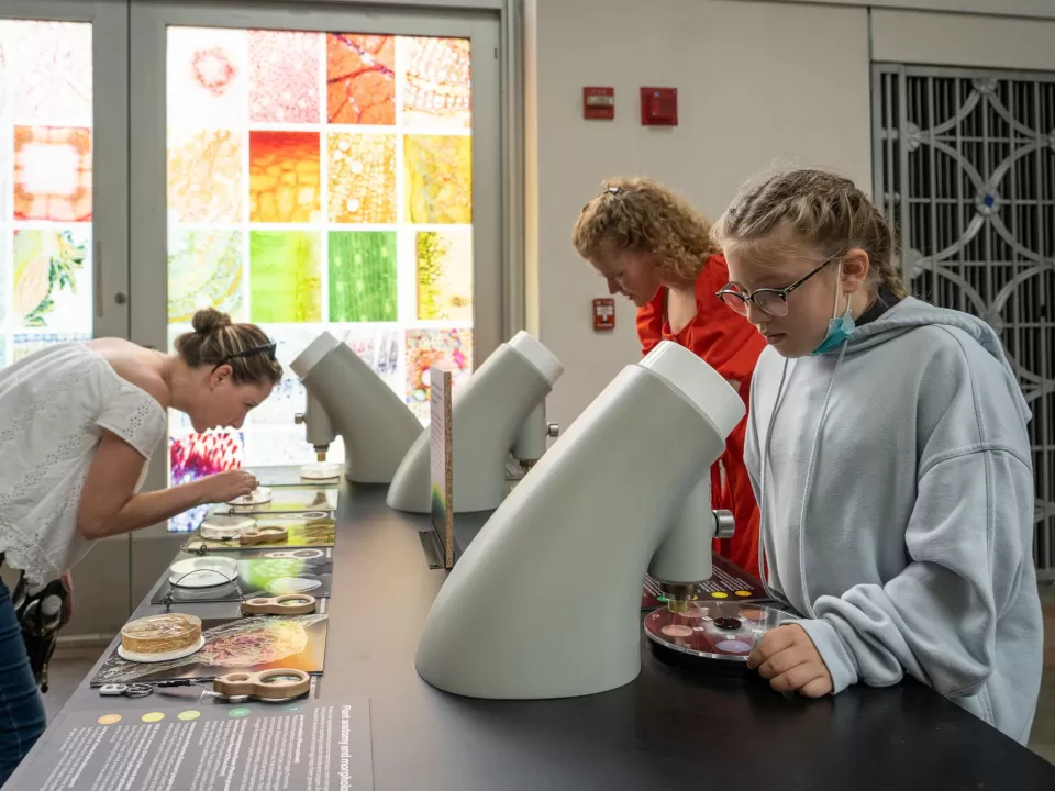 Visitors use microscopes and hand lenses to see the smaller side of agriculture including roots, leaves, insects and more.