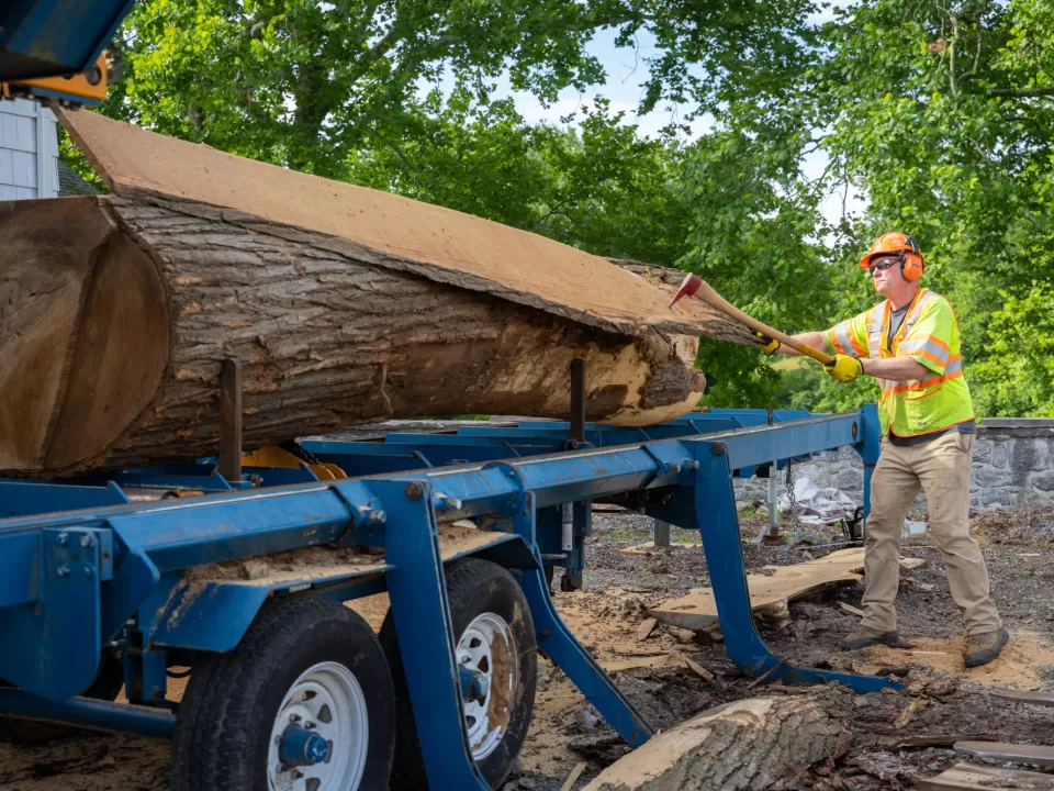 Person working with wood.