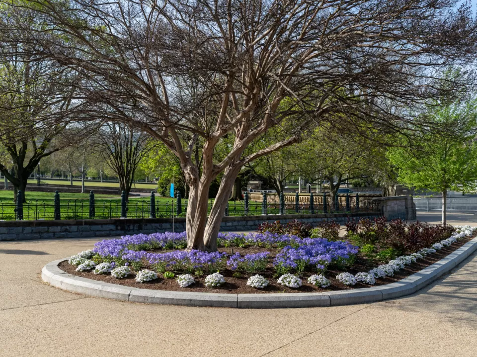 A flower bed in a park.