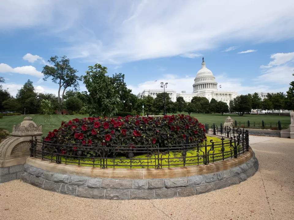 Bairro Capitol Hill em Washington, DC