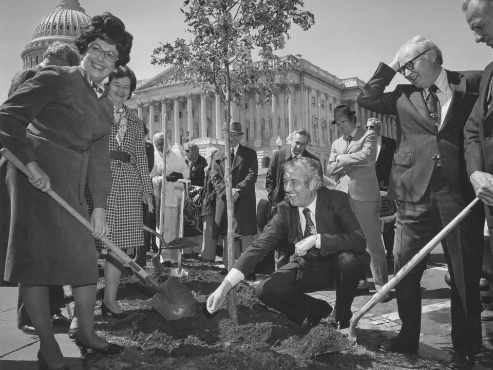 People holding shovels around a tree.