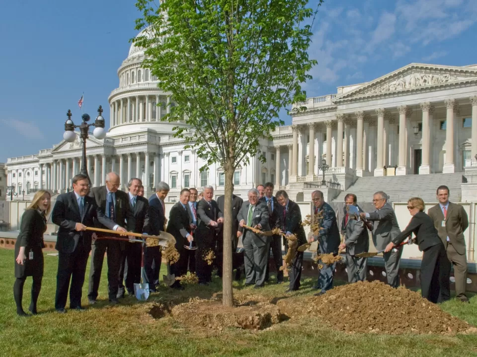 Group of people standing around a tree.