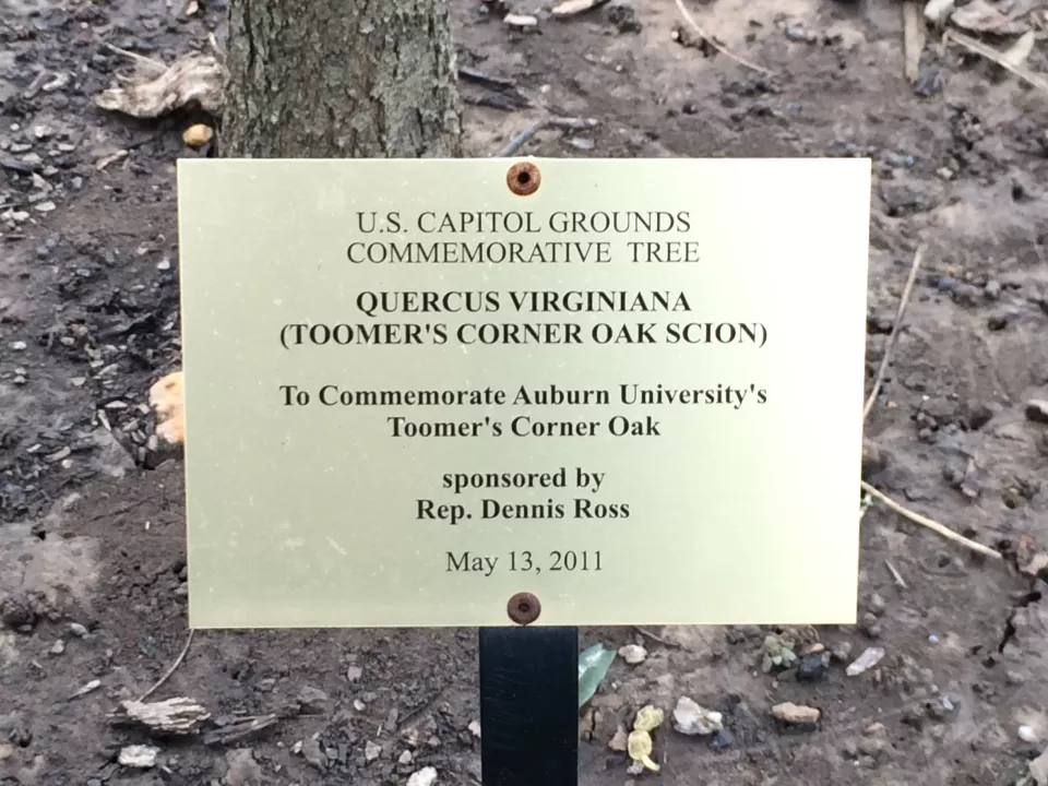 Photo of plaque.