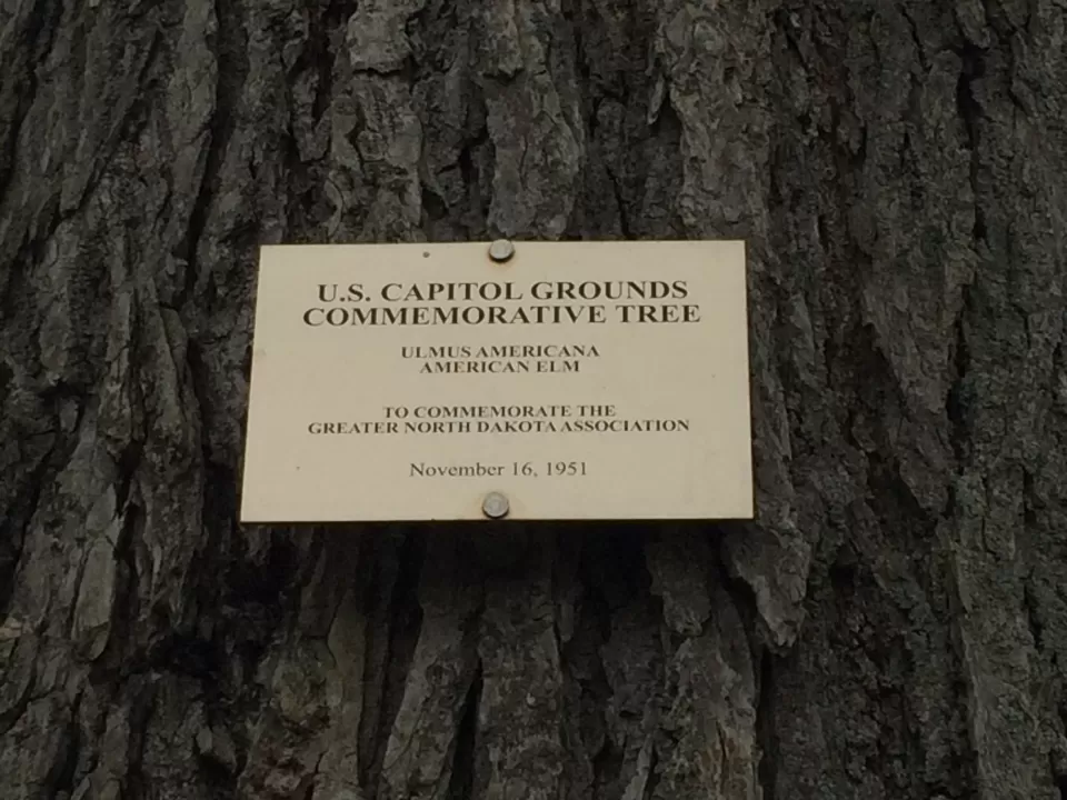 Photo of plaque.