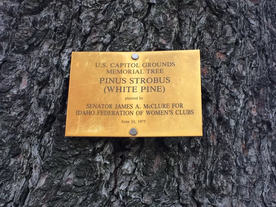 Photo of plaque.