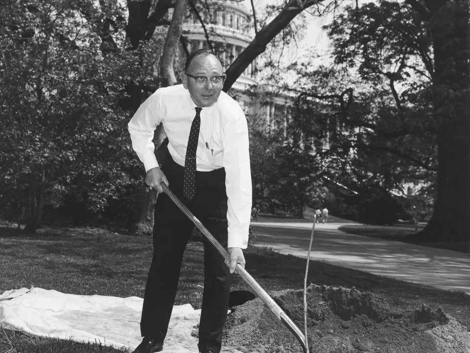 Person holding a shovel near a tree.