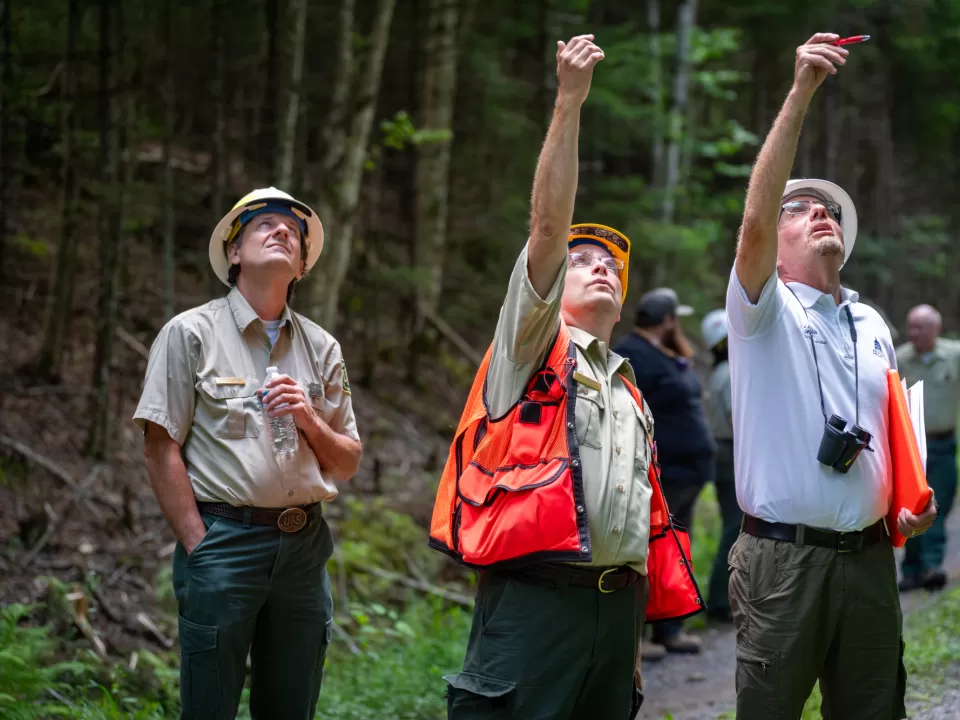 Three people standing. Two with an arm raised.